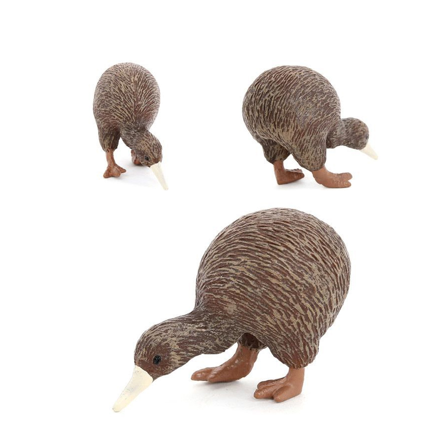 โมเดลนกกีวีจำลองเสมือนจริง ของ - Kids Toys New Zealand บทวิจารณ์และราคา
