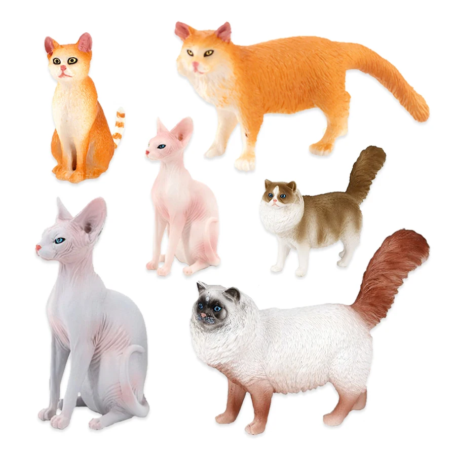 โมเดลแมว ของเล่นสัตว์ในฟาร์ม ข - Kids Toys Review บทวิจารณ์และราคา
